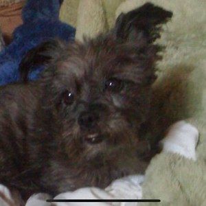 Meet your Posher, Tricia